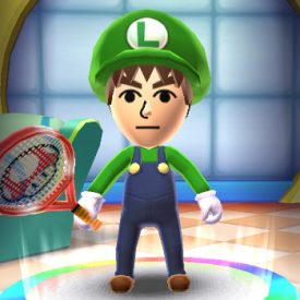 Image of Luigi Costume.