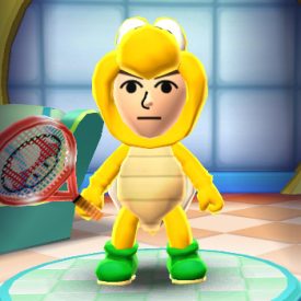 Image of Koopa Costume.